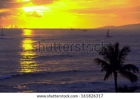 Sunset over sea, people surfing and sailing in sea