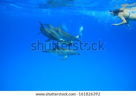 Female divers underwater with dolphin