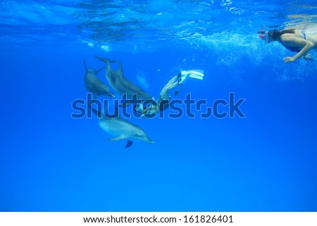 Female divers underwater with dolphin
