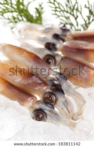 A row of squid on a bed of ice.