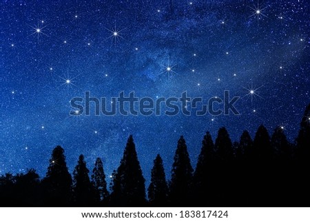 A line of evergreen trees against a deep blue starlit sky.