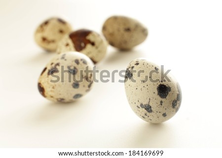 Five white eggs with black spots lying beside each other.