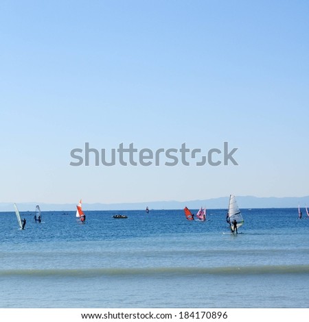 Windsurfers riding the waves in the clear blue water.