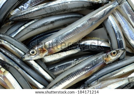 A pile of skinny silver fish out of water.