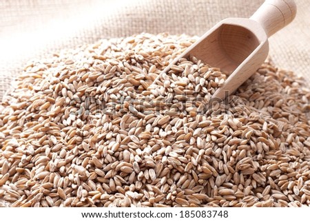 A wood scoop full of long grain rice.