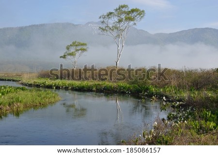 Scene of a stream running through a meadow. Fog rising off the water, mountains behind.