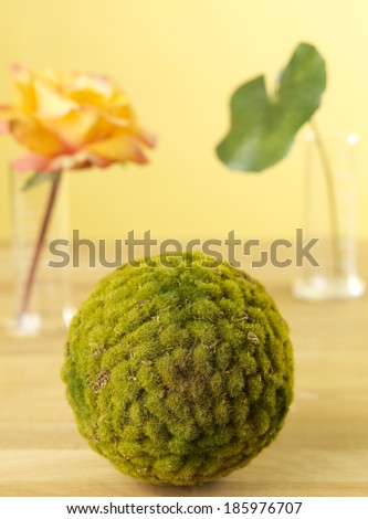 Ball of Moss
