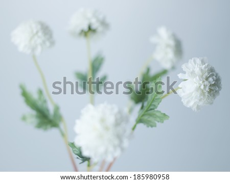 Artificial white carnations.