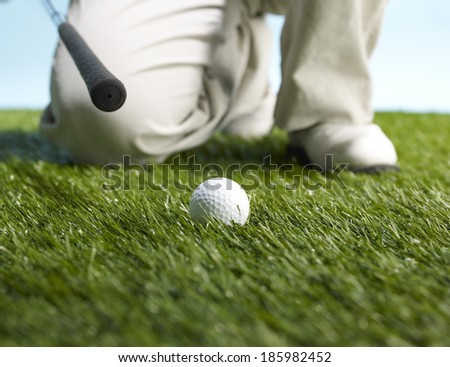 Golf Player Preparing to Hit Ball