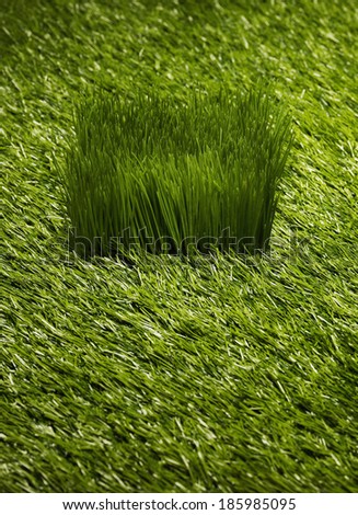 A square of artificial grass on a bed of artificial grass.