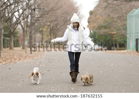 dog and woman taking a walk