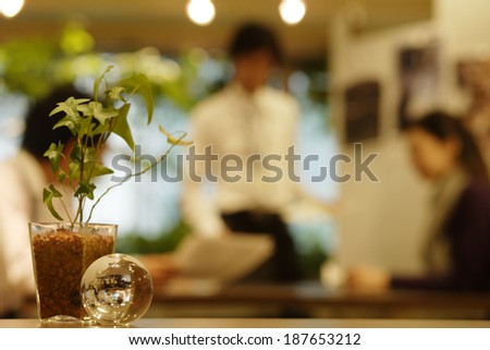 potted plant and earth shaped ornament in office