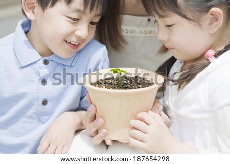 mothers and children looking at new sprout
