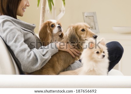 dog and woman relaxing on sofa