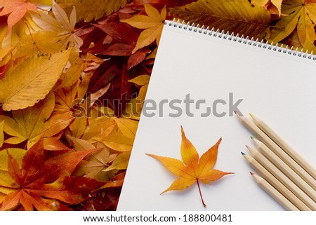 Sketchbook and fallen leaves