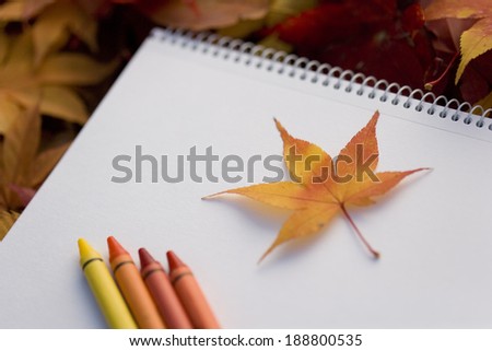 A sketchbook and fallen leaves