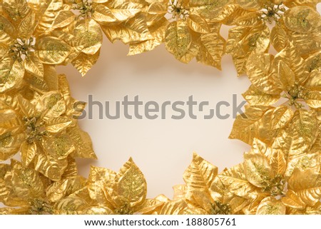 Gold poinsettia