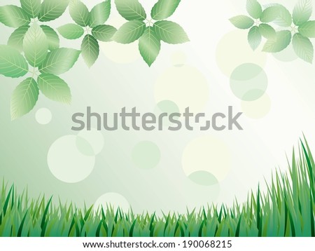 Green leaves hanging over green grass below with circles between them.