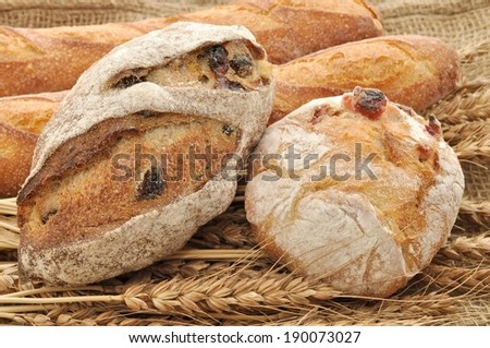 Two round loaves of bread leaning against two long baguettes on top of dried wheat.