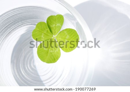A four leaf plant lying against white swirls.