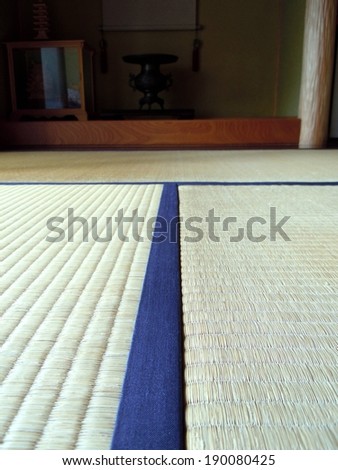 A blue line horizontally dividing a white carpet.