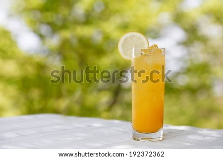 A tall glass containing an orange drink with a slice of lemon.
