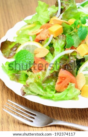 A white plate of mixed salads with green and red lettuce, tomatoes, and cheddar cheese.