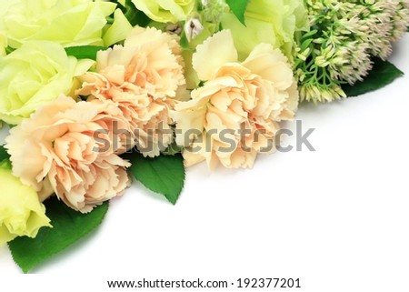 Some light colored flowers with some leaves on a white background.