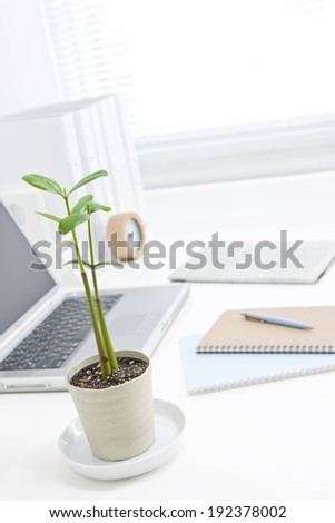 A plant sitting beside a computer and some notebooks.