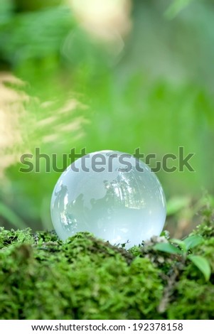 A glass ball on the ground reflecting the forest around it.