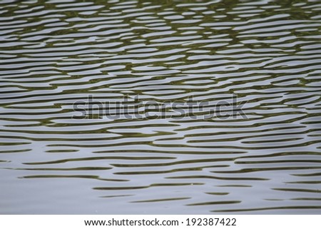 A body of water, with slight ripples all across it.