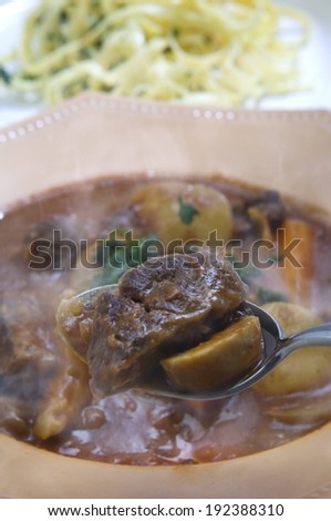 A spoon holding meat above a bowl of beef soup.