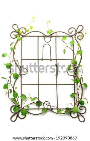 A metal rectangular frame with vines intertwined through it.