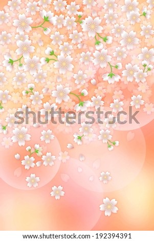 Pink and white flowers and bubbles on a peach background.