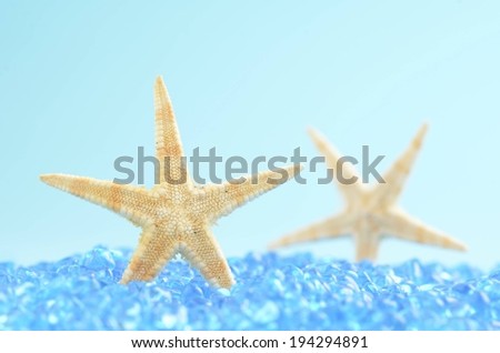 A star fish in blue rocks with its reflection behind it.