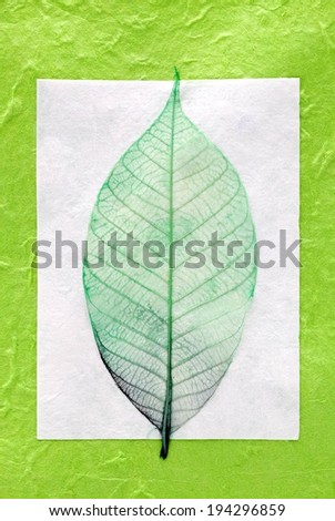 A green leaf against a white and green background.
