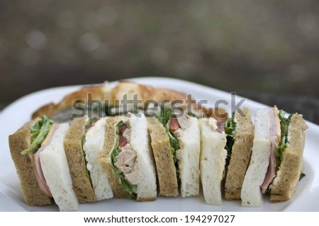 A white plate with cut pieces of bread, meat and lettuce.