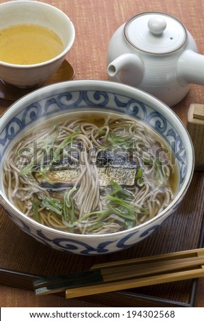 Noodles, fish and green onion swimming in a broth.