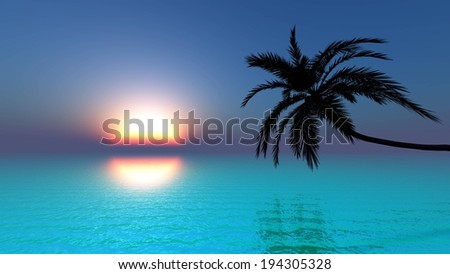 A sunrise over clear blue water and a palm tree growing out over the water.