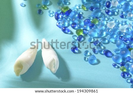 Two white shells and blue glass beads scattered around.