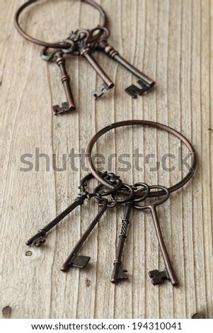 Two brass key rings with multiple keys attached.