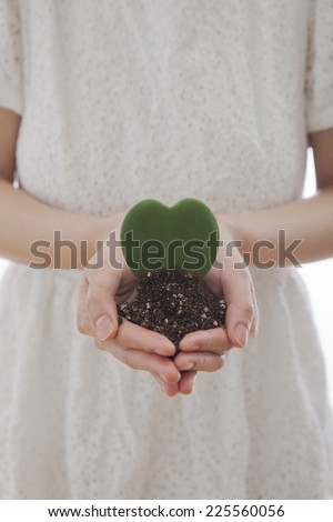 Hand of woman holding heart-shaped plant