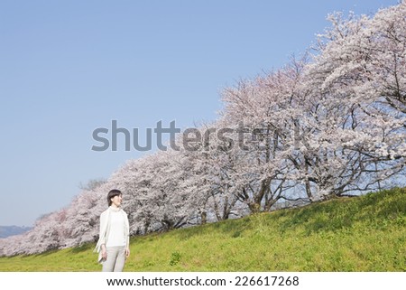 Middle-aged woman looking up the oriental cherry tree rows
