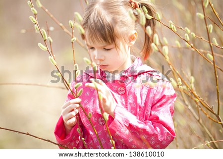 Willow blossoms. Beautiful girl looks kidneys, studies them.