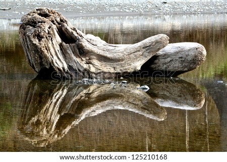 Wooden log reflected in water