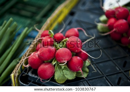 Closeup of fresh, organic radish on a black crate.