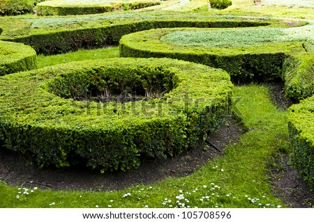 Circle Maze Garden