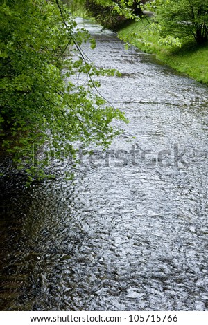 An image of a refreshing and tranquil stream of water amidst lush, green trees.