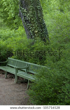 A green bench camouflage on a pathway in a forest of trees.