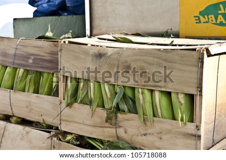 Tightly package corn in wooden boxes outside of a food market.